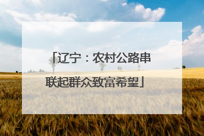 辽宁：农村公路串联起群众致富希望