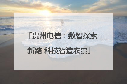 贵州电信：数智探索新路 科技智造农景