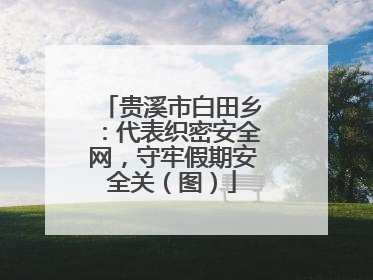 贵溪市白田乡：代表织密安全网，守牢假期安全关（图）