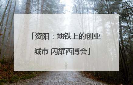资阳：地铁上的创业城市 闪耀西博会