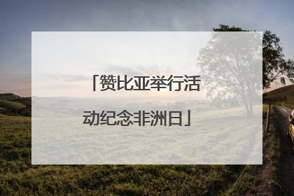 赞比亚举行活动纪念非洲日