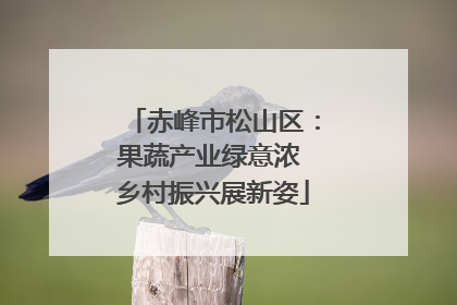 赤峰市松山区：果蔬产业绿意浓 乡村振兴展新姿