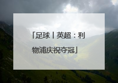 足球丨英超：利物浦庆祝夺冠