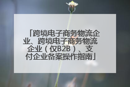 跨境电子商务物流企业、跨境电子商务物流企业（仅B2B）、支付企业备案操作指南
