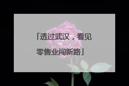 透过武汉，看见零售业闯新路
