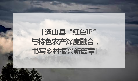 通山县“红色IP”与特色农产深度融合，书写乡村振兴新篇章