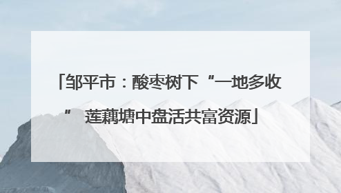 邹平市：酸枣树下“一地多收” 莲藕塘中盘活共富资源