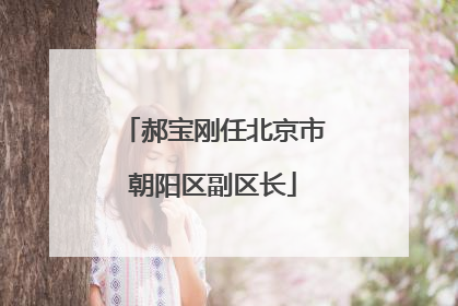 郝宝刚任北京市朝阳区副区长