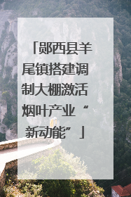 郧西县羊尾镇搭建调制大棚激活烟叶产业“新动能”