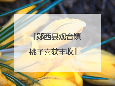 郧西县观音镇桃子喜获丰收