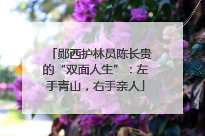 郧西护林员陈长贵的“双面人生”：左手青山，右手亲人