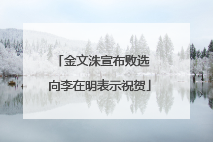 金文洙宣布败选 向李在明表示祝贺