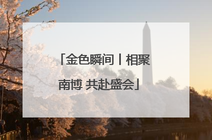 金色瞬间丨相聚南博 共赴盛会