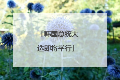 韩国总统大选即将举行