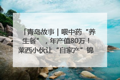 青岛故事｜喂中药“养生餐”，年产值80万！莱西小伙让“自家产”锦鲤“游”向全国