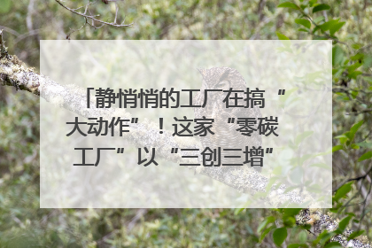 静悄悄的工厂在搞“大动作”！这家“零碳工厂”以“三创三增”探索共富新路径｜网络名人四川行