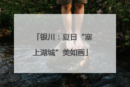 银川：夏日“塞上湖城”美如画