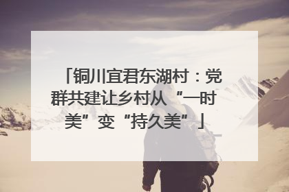 铜川宜君东湖村：党群共建让乡村从“一时美”变“持久美”