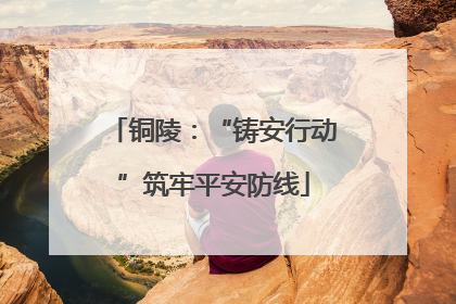 铜陵：“铸安行动”筑牢平安防线