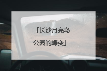 长沙月亮岛公园的蝶变