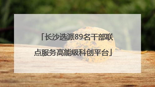 长沙选派89名干部联点服务高能级科创平台