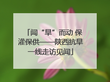 闻“旱”而动 保灌保供——陕西抗旱一线走访见闻