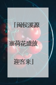 闽侯溪源寨荷花盛放迎客来