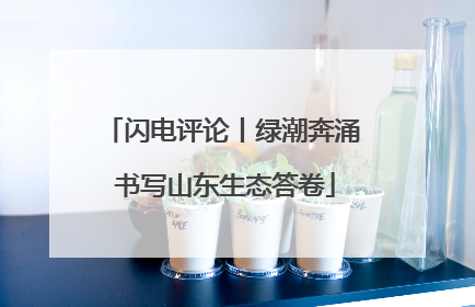 闪电评论丨绿潮奔涌 书写山东生态答卷