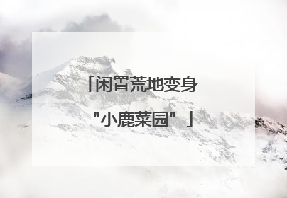 闲置荒地变身“小鹿菜园”