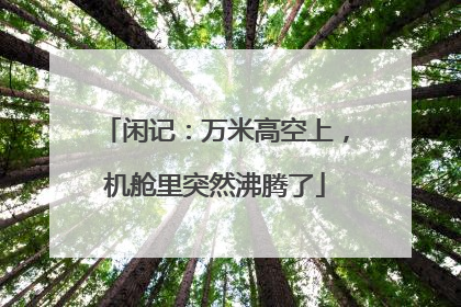 闲记：万米高空上，机舱里突然沸腾了