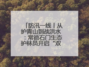 防汛一线丨从护青山到战洪水：常德石门生态护林员开启“双重守护”模式
