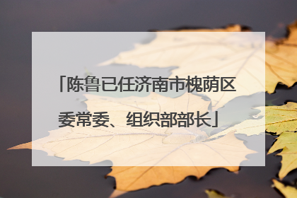 陈鲁已任济南市槐荫区委常委、组织部部长