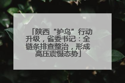 陕西“护鸟”行动升级，省委书记：全链条排查整治，形成高压震慑态势