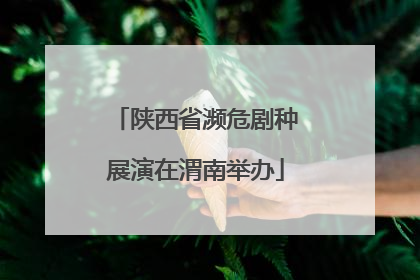 陕西省濒危剧种展演在渭南举办
