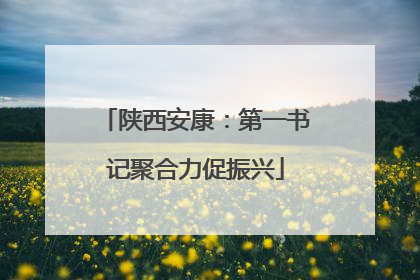 陕西安康：第一书记聚合力促振兴