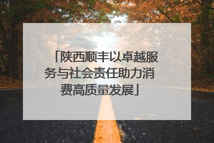 陕西顺丰以卓越服务与社会责任助力消费高质量发展