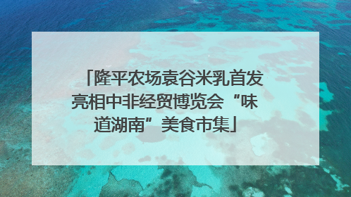 隆平农场袁谷米乳首发亮相中非经贸博览会“味道湖南”美食市集