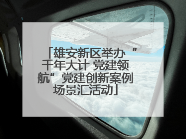 雄安新区举办“千年大计 党建领航”党建创新案例场景汇活动