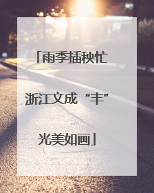 雨季插秧忙 浙江文成“丰”光美如画