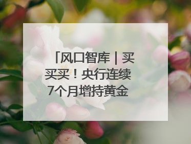 风口智库｜买买买！央行连续7个月增持黄金，专家：金价或仍易涨难跌