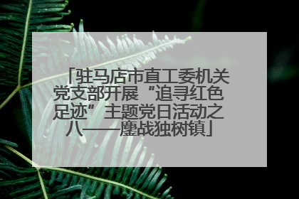 驻马店市直工委机关党支部开展“追寻红色足迹”主题党日活动之八——鏖战独树镇
