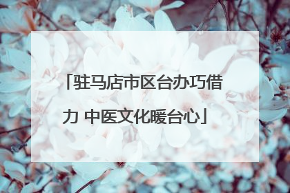 驻马店市区台办巧借力 中医文化暖台心