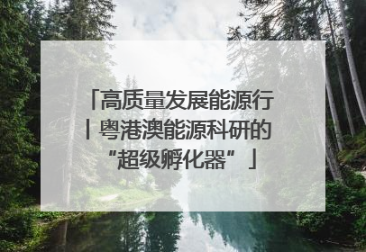 高质量发展能源行丨粤港澳能源科研的“超级孵化器”