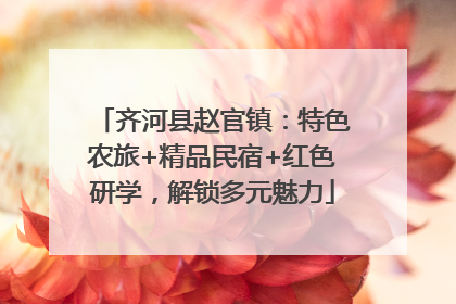 齐河县赵官镇：特色农旅+精品民宿+红色研学，解锁多元魅力