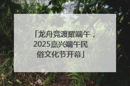 龙舟竞渡耀端午，2025嘉兴端午民俗文化节开幕