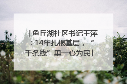 鱼丘湖社区书记王萍：14年扎根基层，“千条线”里一心为民