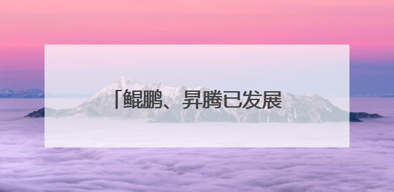 鲲鹏、昇腾已发展超665万开发者，今年将进一步开放