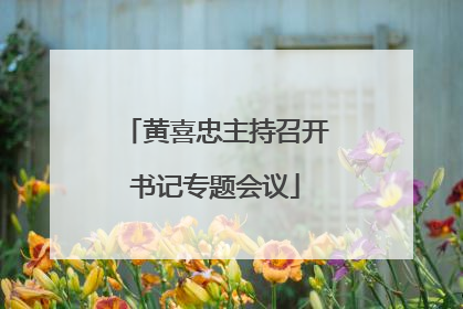 黄喜忠主持召开书记专题会议