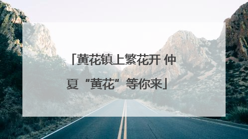 黄花镇上繁花开 仲夏“黄花”等你来