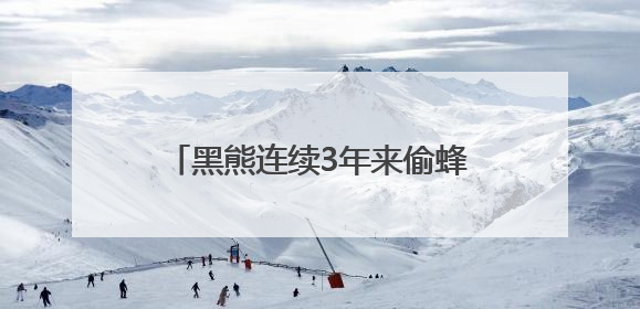黑熊连续3年来偷蜂蜜 村民防盗花样频出却不伤害：它是保护动物，我有保险兜底